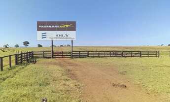 Imagem 6: Fazenda Extra ! Município de Palestina - GO ! 175 Alqueires !