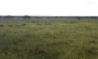 Imagem 2: Fazenda 227 alqueires - Talismã - Tocantins