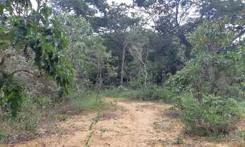 Imagem 6: Fazenda/Sítio/Chácara para venda possui 20000 metros quadrados em Almeida - Jaboticatubas