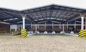 Imagem 5: PORTO ALEGRE - Galpão/Depósito/Armazém - Navegantes