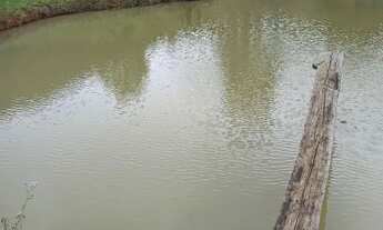 Imagem 6: Vende-se Sítio com total visão para o Pico da Bandeira