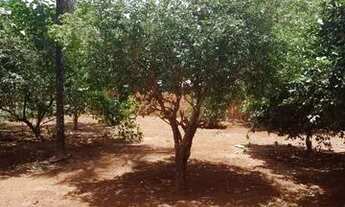 Imagem 5: Vendo Chácara Estância São Judas Tadeu