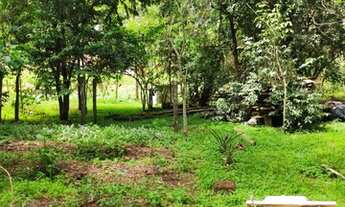 Imagem 5: Sítio a venda em Persegueiros