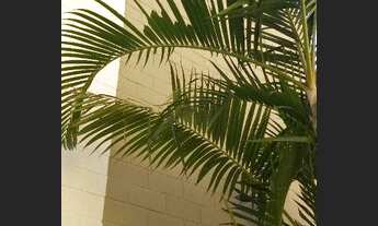 Imagem 3: Apartamento amplo e vago