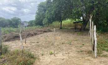 Imagem 2: Terreno em horizonte