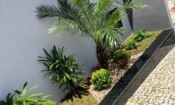 Imagem 2: Casa residencial telline