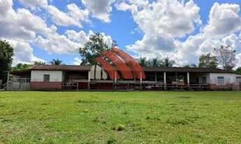 Imagem 5: Chacara no Tarumã - 14.000 M² - c/ Gerador 100