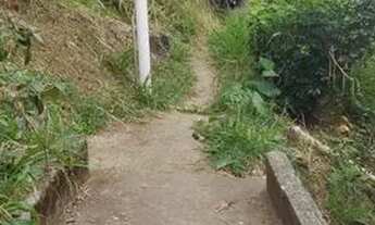 Imagem 6: Casa de madeira no monte serrat - centro