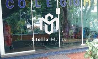 Imagem 4: SãO PAULO - Casa Comercial - Parque São Domingos