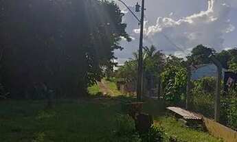 Imagem 4: Vende-se uma chácara com casa e benfeitorias