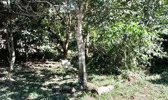 Imagem: Terreno Belterra