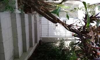 Imagem 3: Casa aluguel 80 m2 com 2 quartos quintal em Rio Pequeno - São Paulo - SP