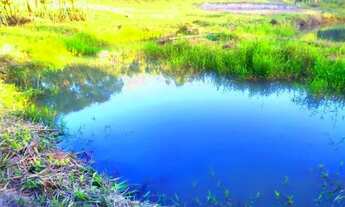 Imagem 2: TERRENO PARA SITIO EM LARANJAL PAULO LOPES