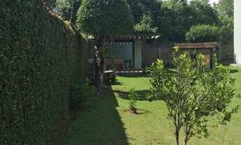 Imagem 2: Para ver o dia nascer feliz