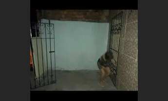 Imagem 6: VENDO CASA RECÉM REFORMADA