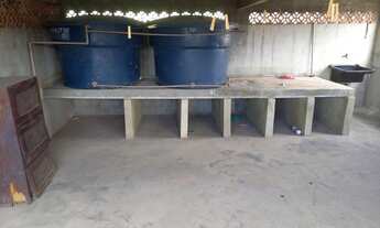 Imagem 4: Apto Tipo Cobertura 40m², Sala, Quarto e Terraço Coberto em Vigário Geral - RJ