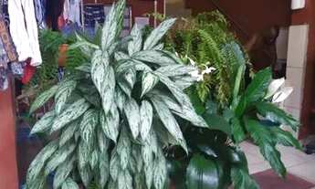 Imagem: Aluguel de quarto rapaz individual mobiliado