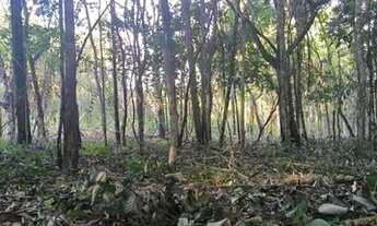 Imagem 2: Lote/Terreno em Pirenópolis-GO