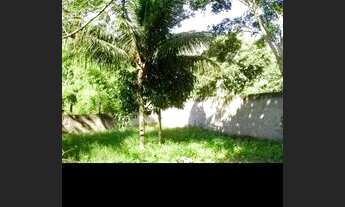 Imagem 4: Sítio 4200m², planotodo murado