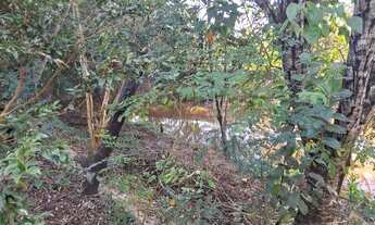 Imagem 3: Vende-se chácara! Aceito casa como parte do pagamento!