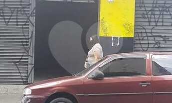 Imagem 6: São Paulo - Casa Padrão - JABAQUARA