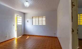 Imagem 4: Samambaia (Norte