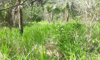 Imagem 7: Vendo sítio em Simões Filho Bahia