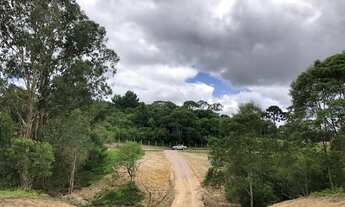 Imagem 2: Chácara com tanque de peixe