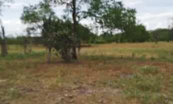 Imagem 4: Excelente oportunidade de comprar uma fazenda às margens do rio Jacuipe com 136t