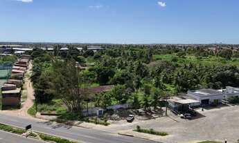 Imagem 4: Terreno com 10.000 m2, BR 101, Zona Norte