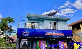 Imagem: Apartamento Centro Campo Bom