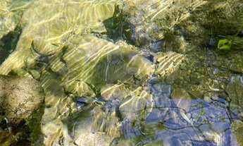 Imagem 2: Fazenda com 80 Alqueires em Niquelândia/GO