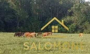 Imagem 4: Salomone vende área com 4 hectares dentro de condomínio perto da RS040