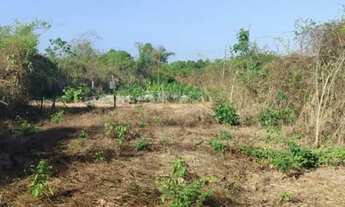 Imagem 4: Vende-se terreno