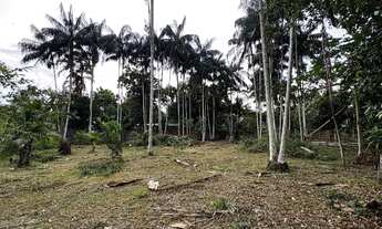 Imagem 5: Terreno no Lago do Limão