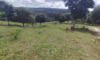 Imagem 5: Vendo chcara Fazenda / sítio com venda por R$2.500.000