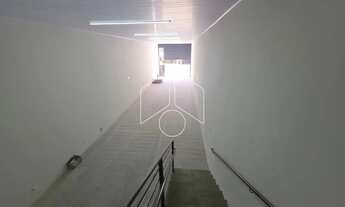 Imagem 5: Comercial GalpãoBarracão em Marília