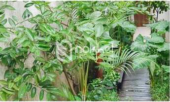 Imagem 6: Casa com 190 m², 3 quartos à venda em Mirandópolis