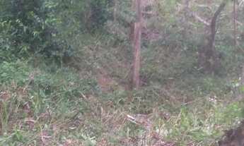 Imagem 7: Terreno de 1.494m² no João Paulo