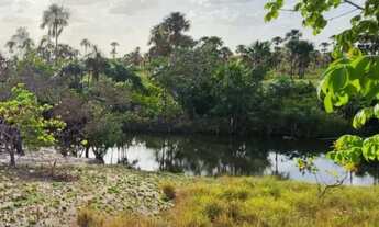 Imagem 4: Banho com igarapé exclusivo