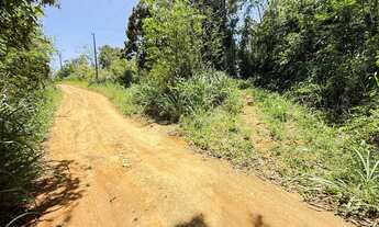 Imagem 9: Vendo chacara com 30.000m2 com plator na pedra e vista para o mar, vila velha e guarapari