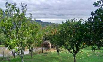 Imagem 6: Sítio à Venda em Canela!