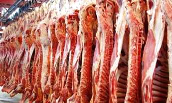 Imagem: Frigorífico Bovino Funcionando e Faturando