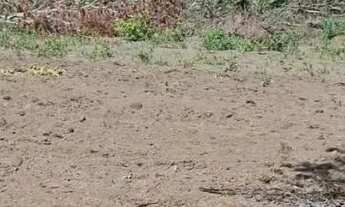 Imagem: CHACARA 5.400M2