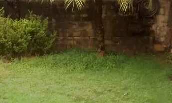 Imagem 3: Imóvel para venda possui 253 metros quadrados com 4 quartos em Rio Branco - Belo Horizonte