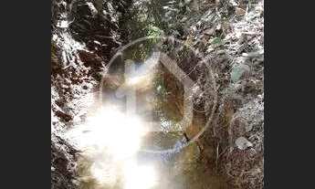 Imagem 6: SÍTIO TERRA VERMELHA 14 HECTARES