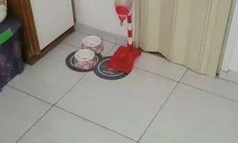 Imagem 7: Apartamento 2 quartos, dependências completas, 78m², lazer completo, à venda no Fonseca