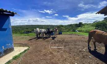 Imagem 4: Chácara c/ 3 alqueires , Porteira fechada 6 km de Abadiânia - GO, aceita imóveis em Anápol