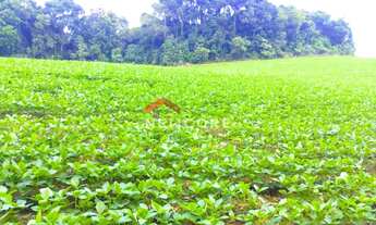 Imagem 6: Chácara em Avenida Independência - Campina das Pedras - area rural - Araucária/PR