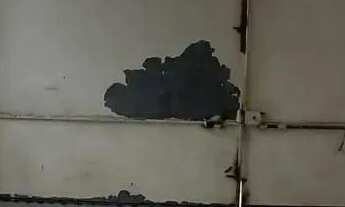 Imagem 5: Rua São Severino, 155, ao lado da Estação Recanto das Palmeiras